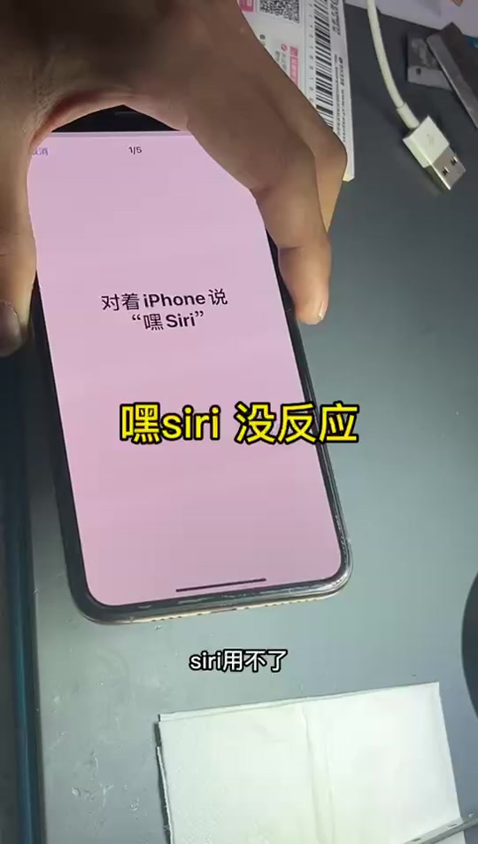 siri怎么打字对话(siri怎么打字交流)