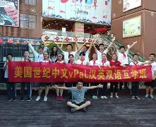 vpal中国(l v中国官网)