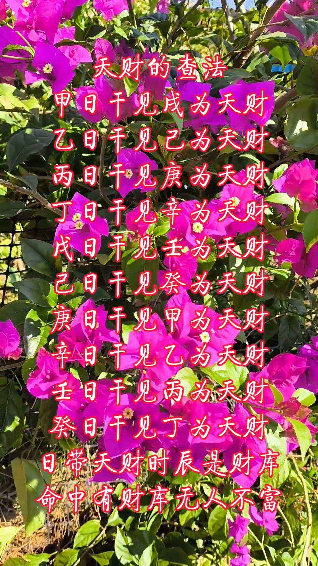 天财日怎么找(天财日好吗)