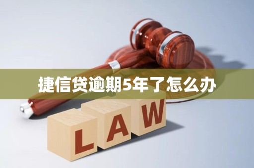 捷信福袋逾期怎么还款(捷信福袋逾期怎么还款最划算)