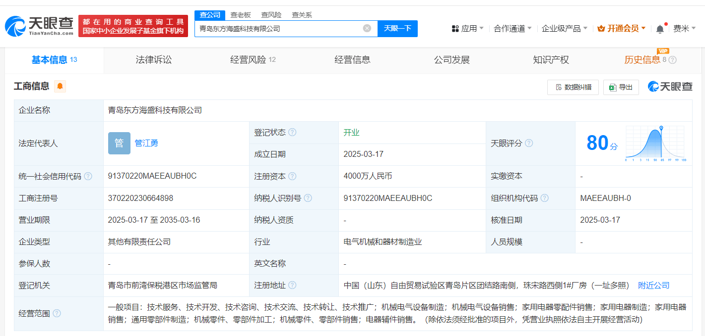 东方电热股票怎么样(东方电热股票300217)