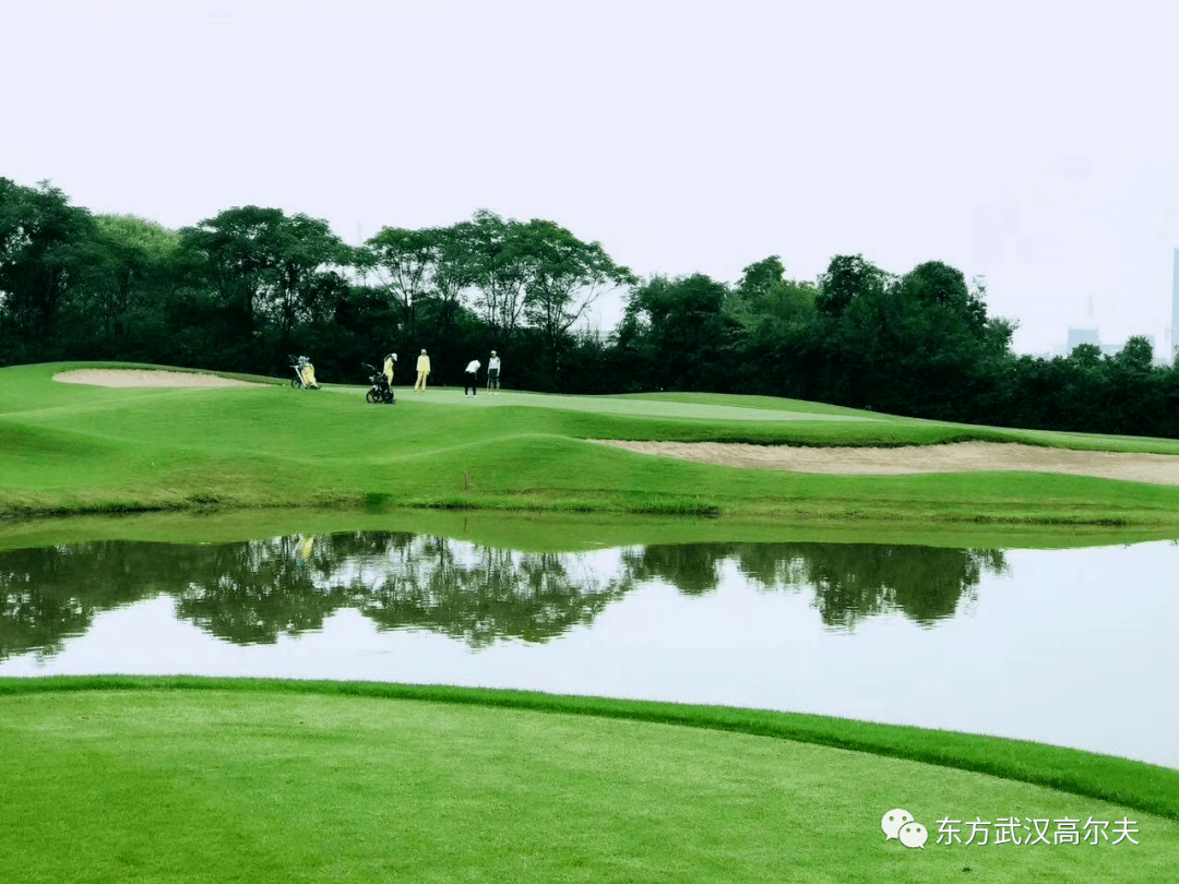 武汉东方赛思怎么样(武汉东方赛思是外包公司吗)