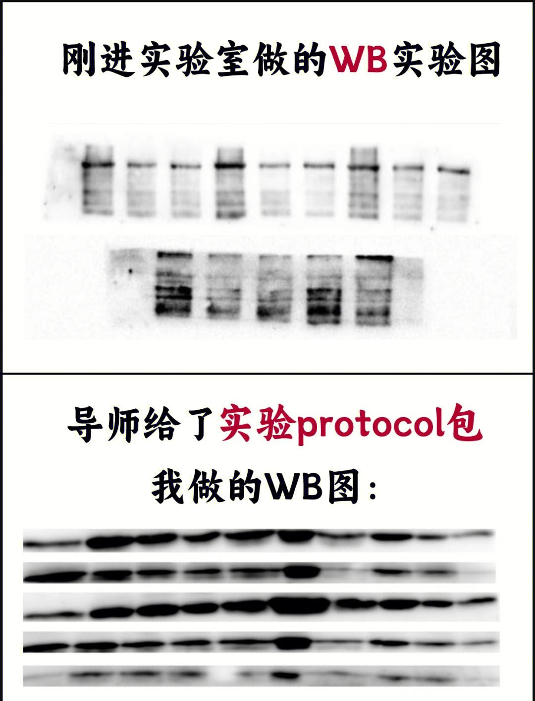 wbtc是什么(WBTC是什么币种)