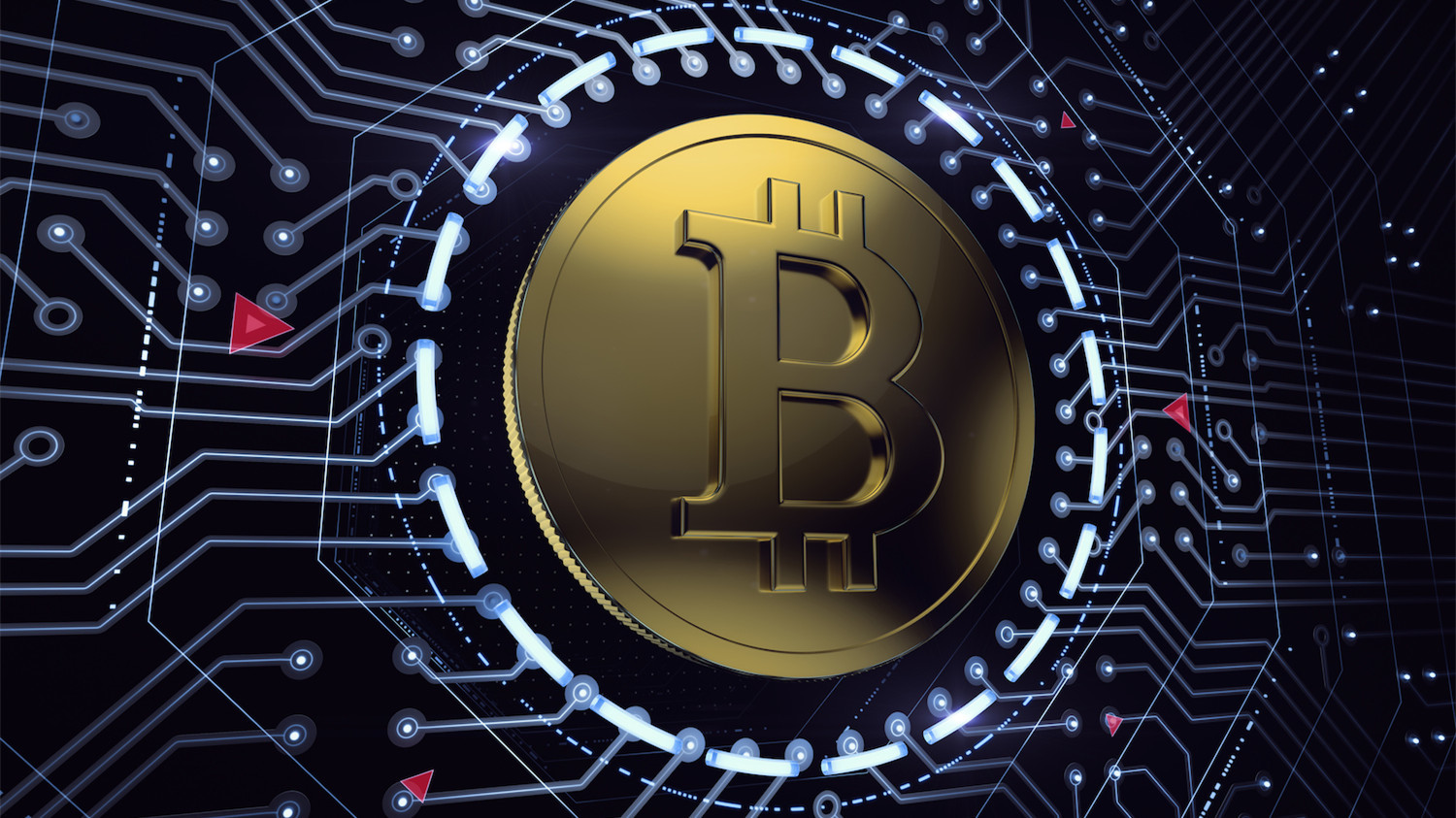 公务员能炒比特币吗(公务员可以炒比特币吗)
