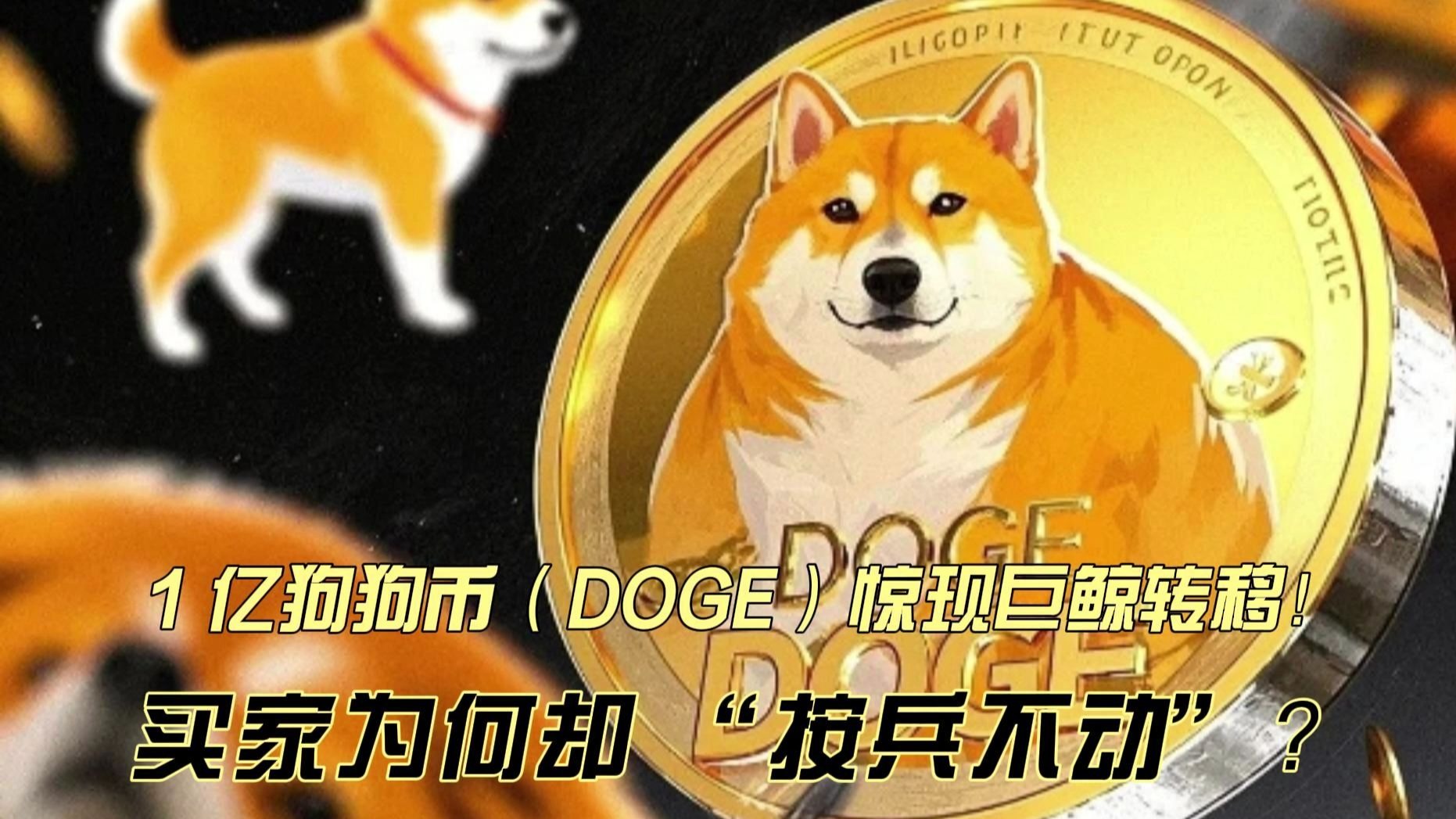 doge最新消息(Aidoge最新消息)