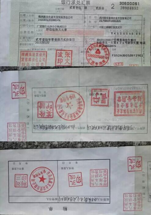 收到假承兑汇票怎么办(收到假商业承兑汇票怎么办)