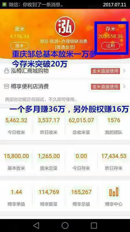 金米明细怎么赚钱(金米网络科技有限公司)