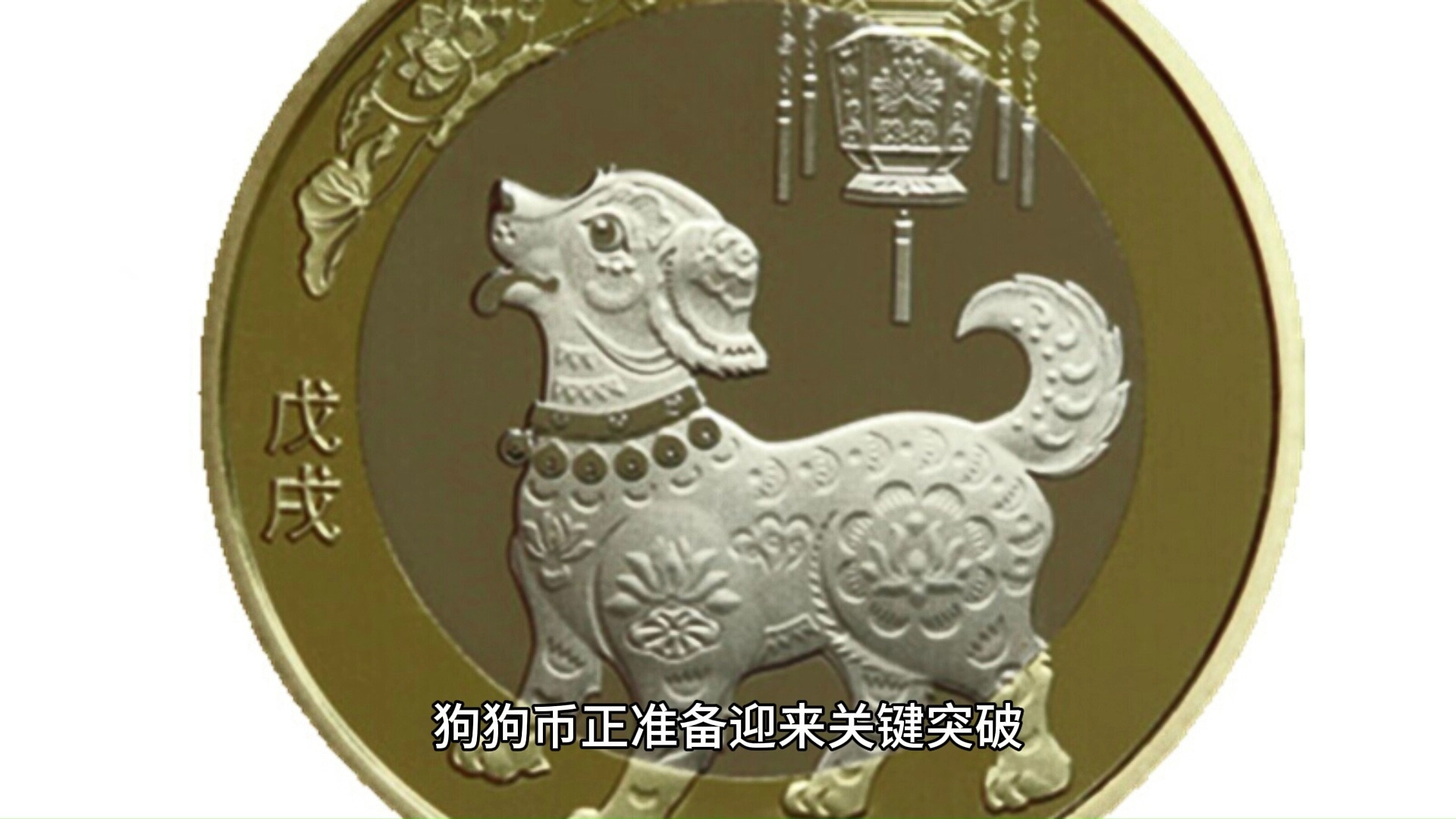 宝贝狗币最新消息(宝贝狗币价格今日行情k线图)