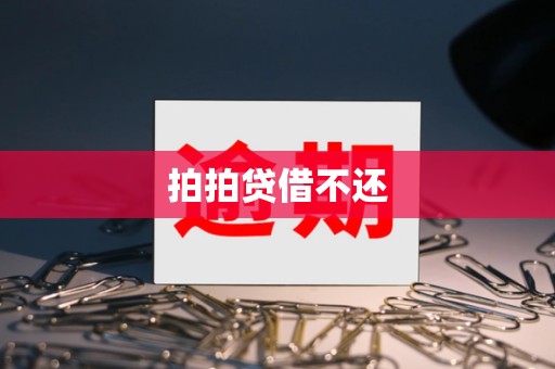 拍拍贷怎么借不了了(拍拍贷怎么借不出来了)