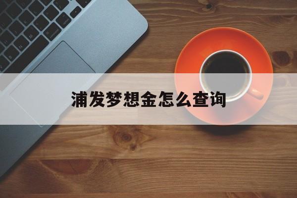 浦发梦想金怎么查询(浦发白金梦卡额度怎么查询)