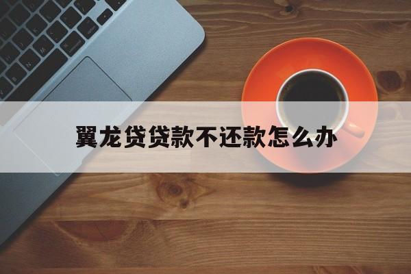 翼龙贷贷款不还款怎么办(翼龙贷还不上钱怎么办)
