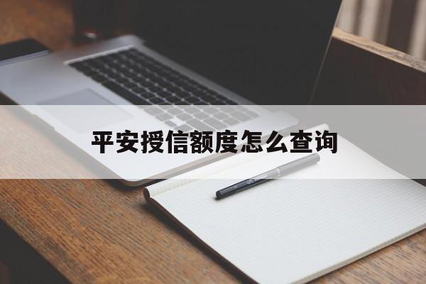平安授信额度怎么查询(平安授信额度怎么查询的)