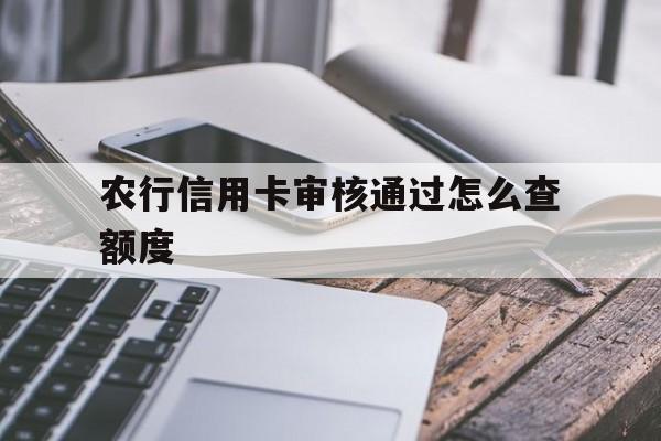 农行信用卡审核通过怎么查额度(农行办信用卡进度查询)