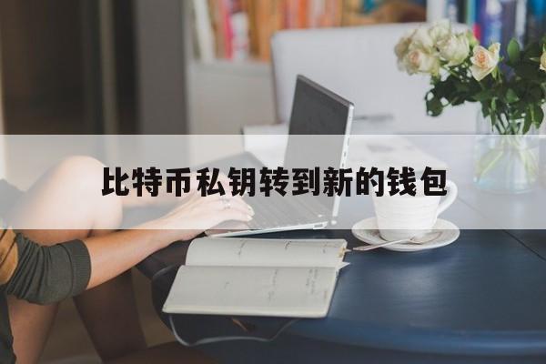 比特币私钥转到新的钱包(比特币钱包私钥通不通用)
